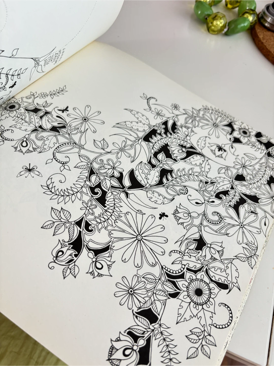 Colouring Book - Nature & Floral Designs - photo 2