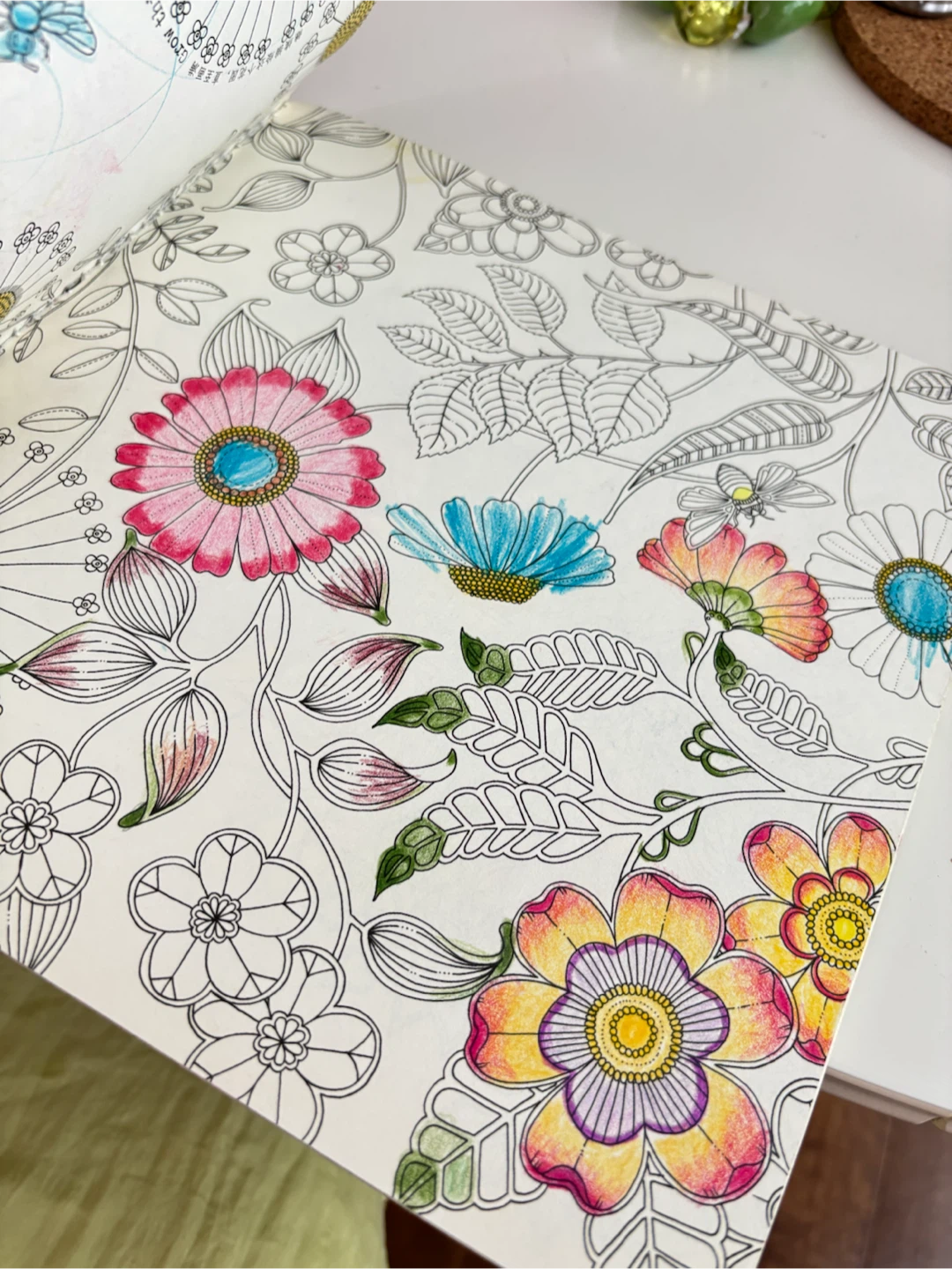 Colouring Book - Nature & Floral Designs - photo 3