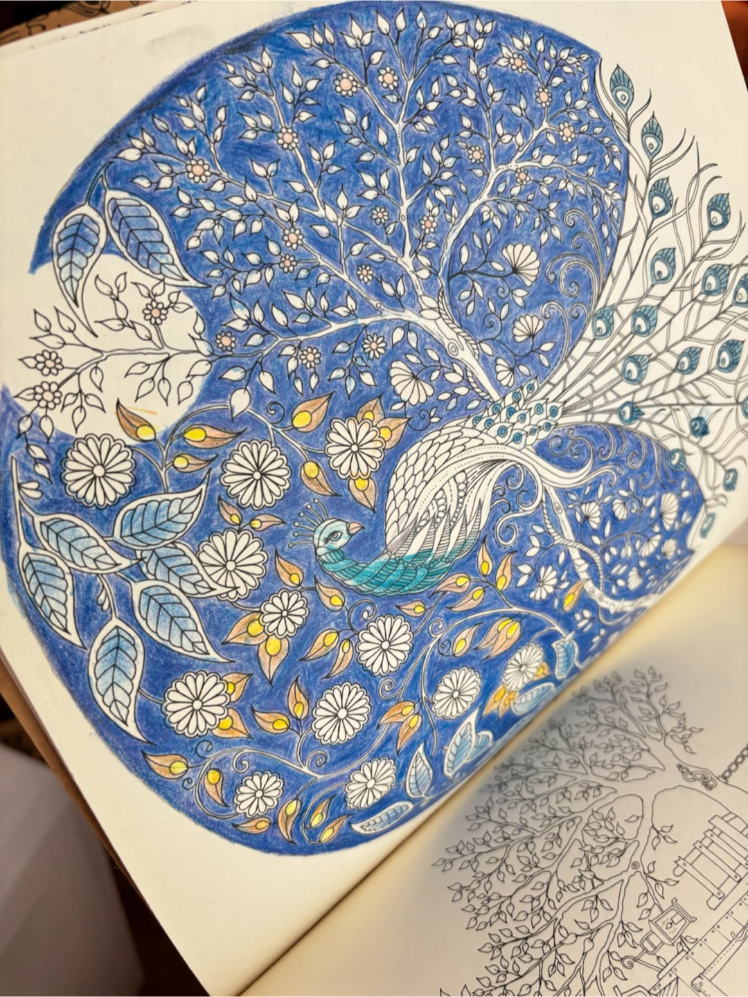 Colouring Book - Nature & Floral Designs - photo 4