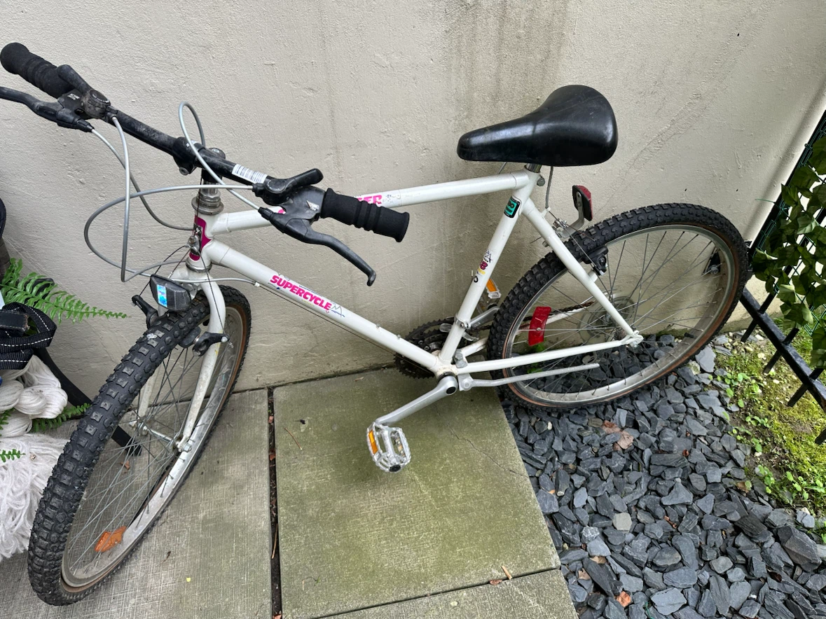 Supercycle Mountain Bike