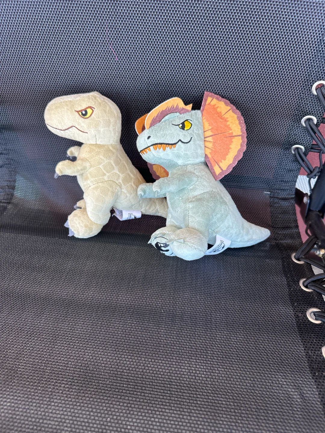 Jurassic Park Dilophosaurus & Tyrannosaurus Rex Plush Toys