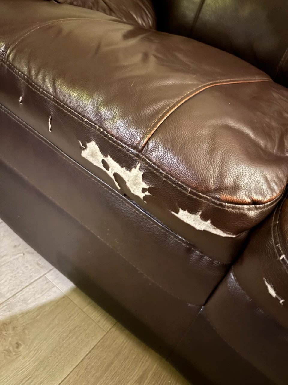 Leather couches for sale. Have some damage 150 for both - photo 2