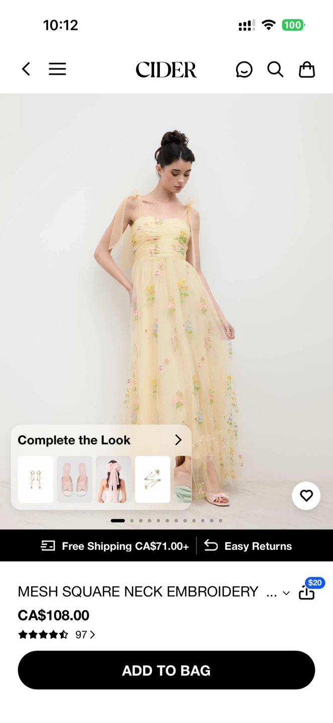 Sheer Floral Embroidered Maxi Dress