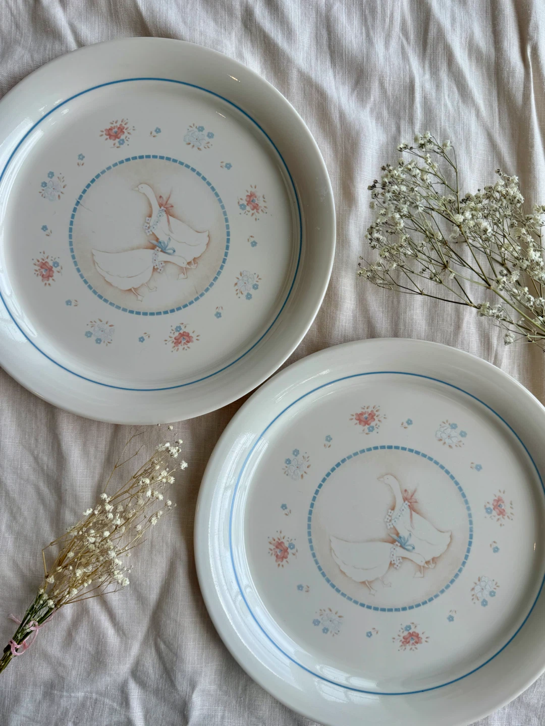 Cottagecore Dinner Plates set of 2 🎀