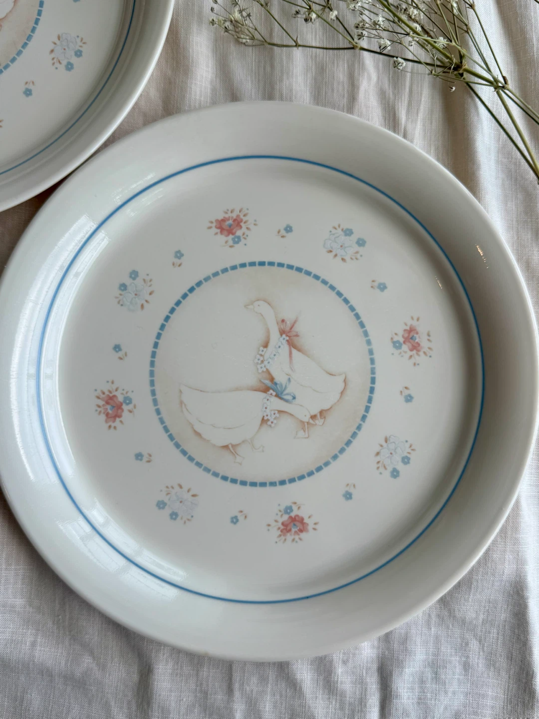 Cottagecore Dinner Plates set of 2 🎀 - photo 2
