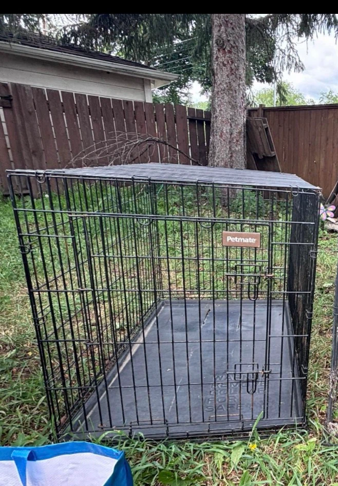 Large dog crate