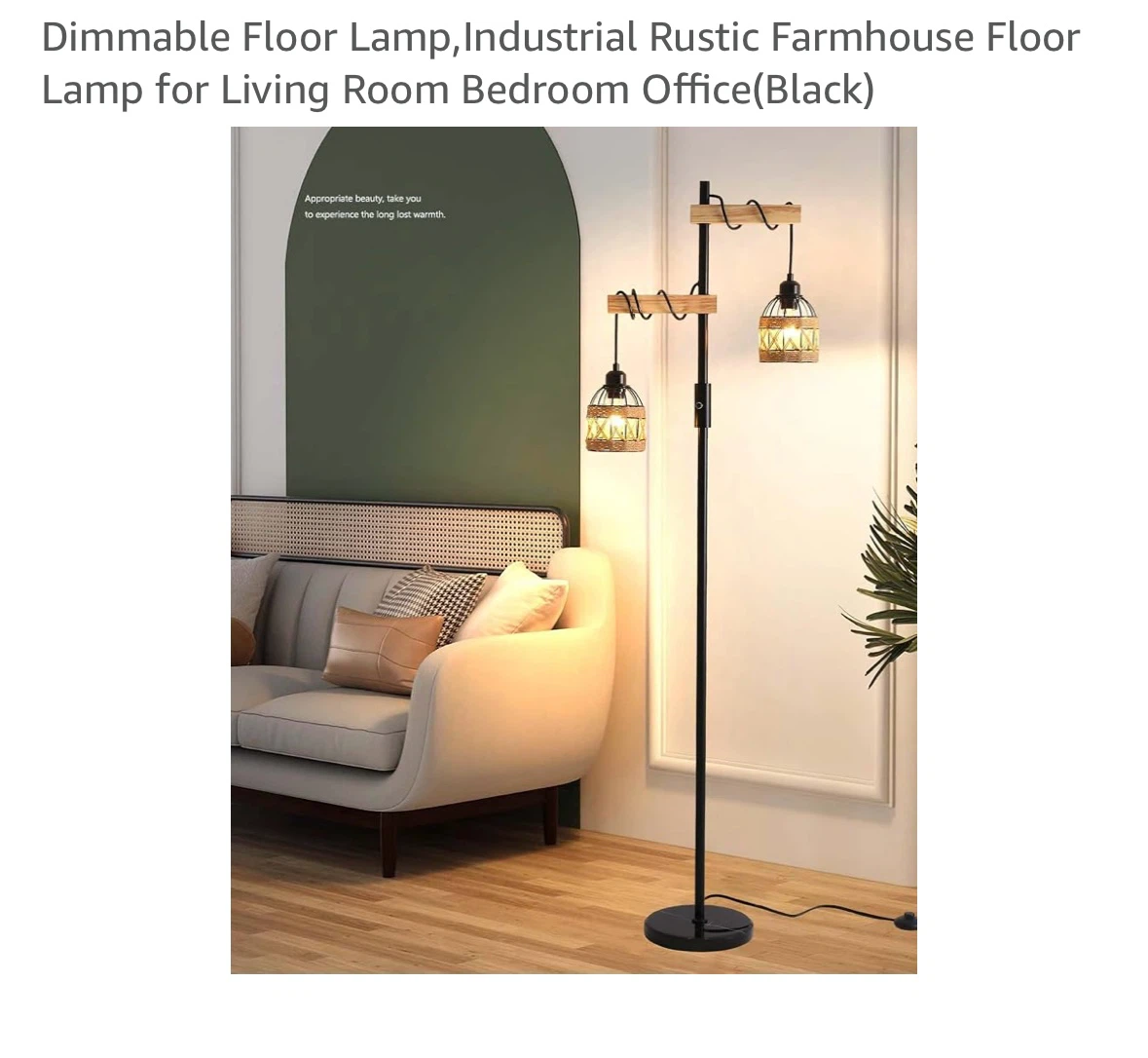 Dimmable Industrial Rustic Farmhouse Floor Lamp - Black - photo 2