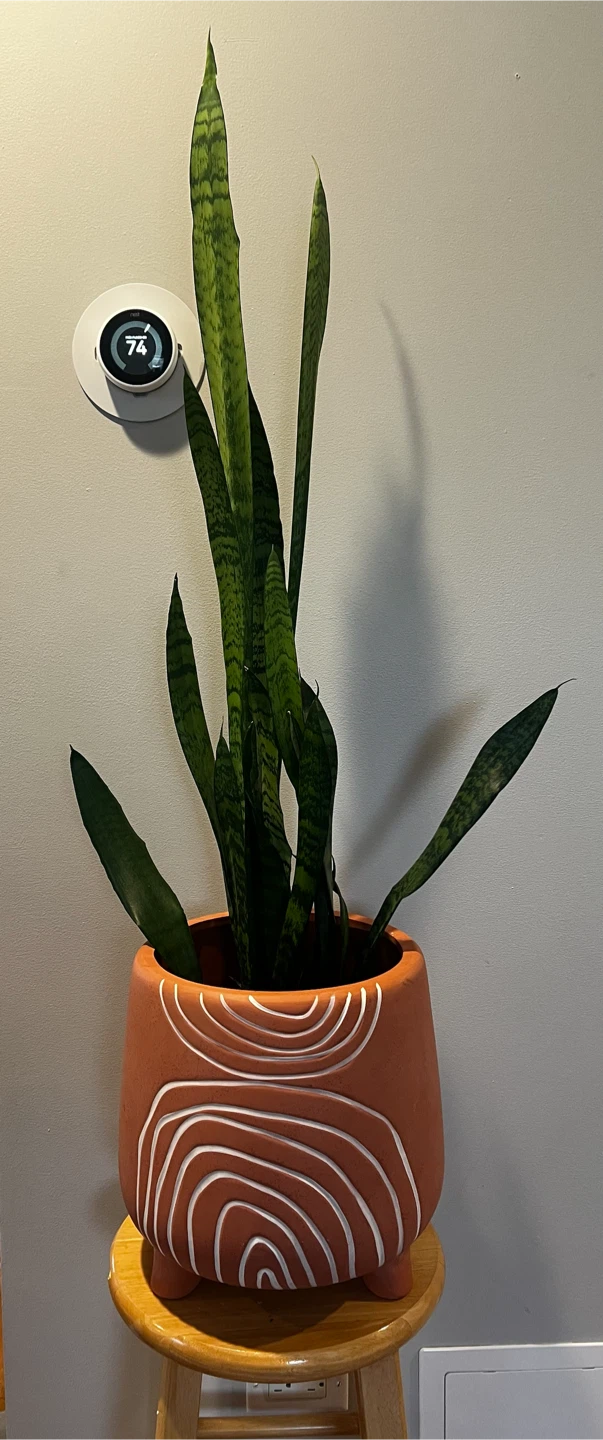 Opalhouse Planter