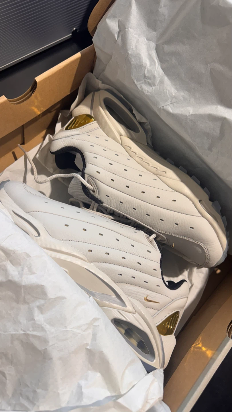 Nike Air Max sneakers