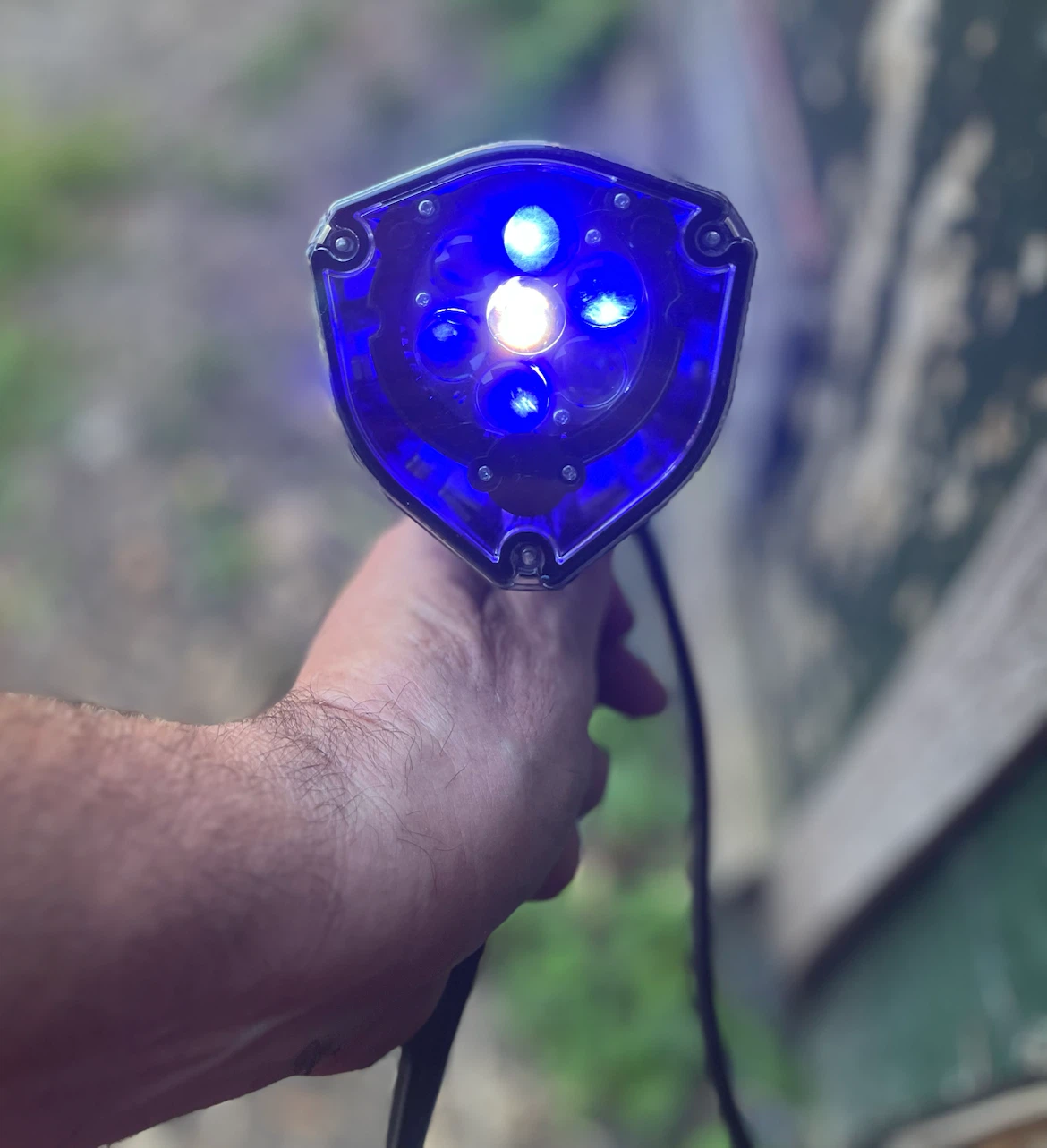 Black Outdoor Spotlight with Blue LED