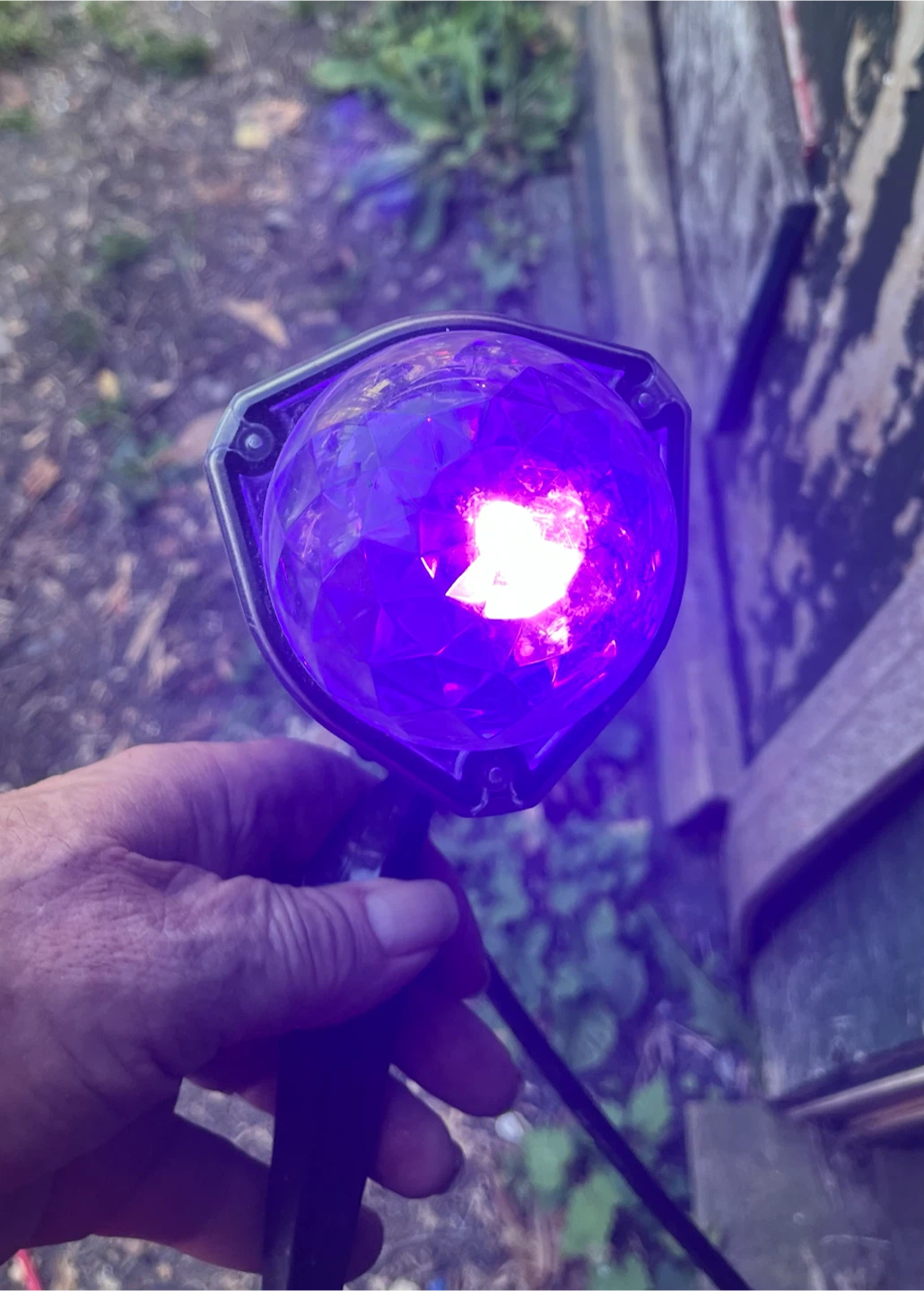 Gemmy Projector Light