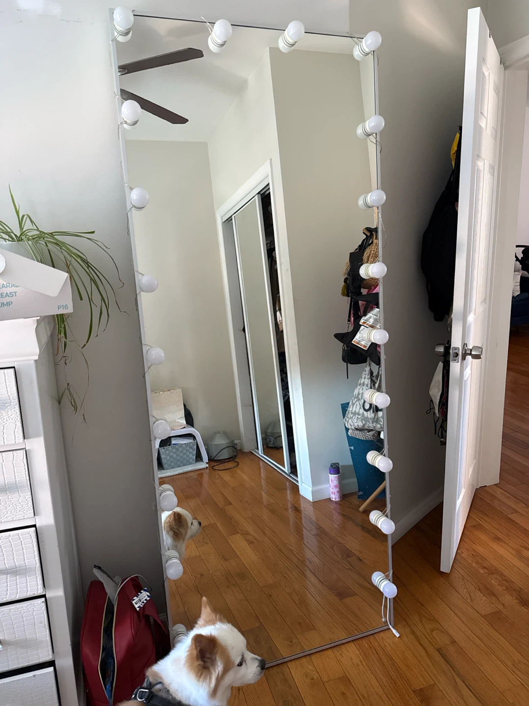Large Lighted Makeup Mirror