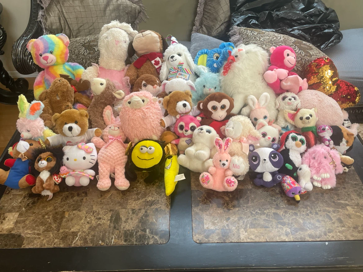 Assorted Plush Stuffed Animals - photo 2