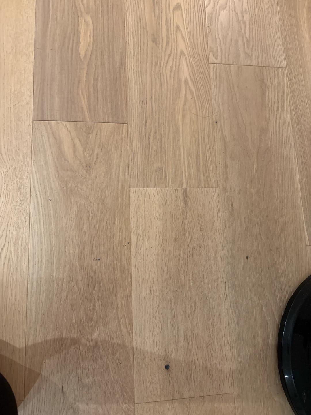 WHITESTONE OAK Engineered Wood Floors from Opus Floors Canada