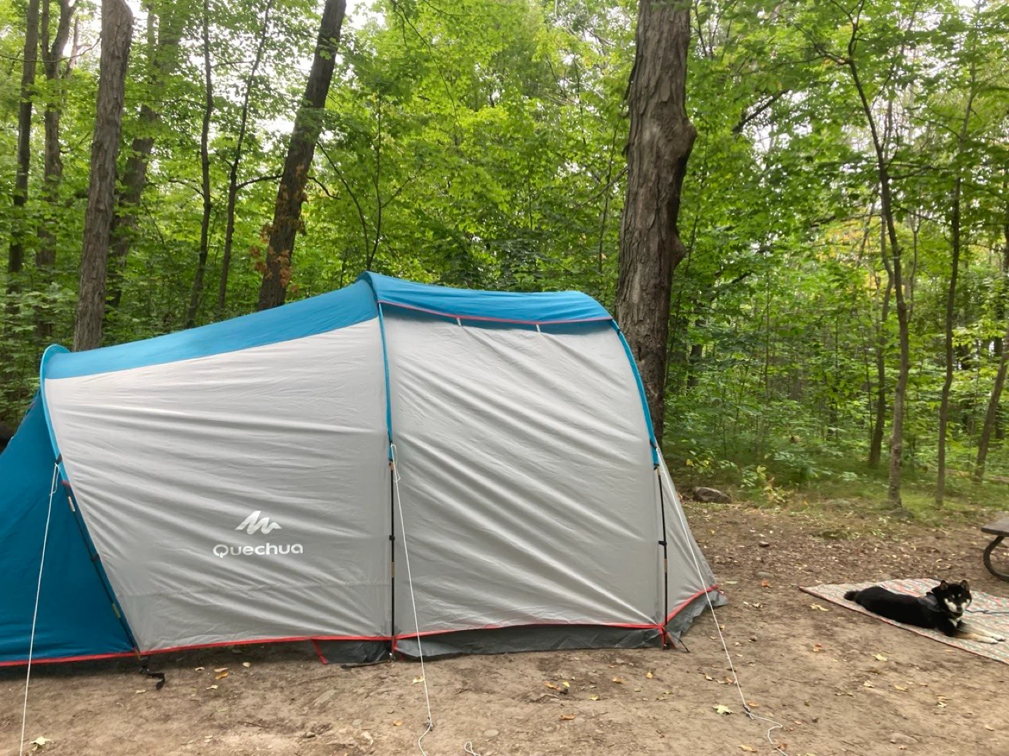 Quechua Arpenaz Family 4 Camping Tent
