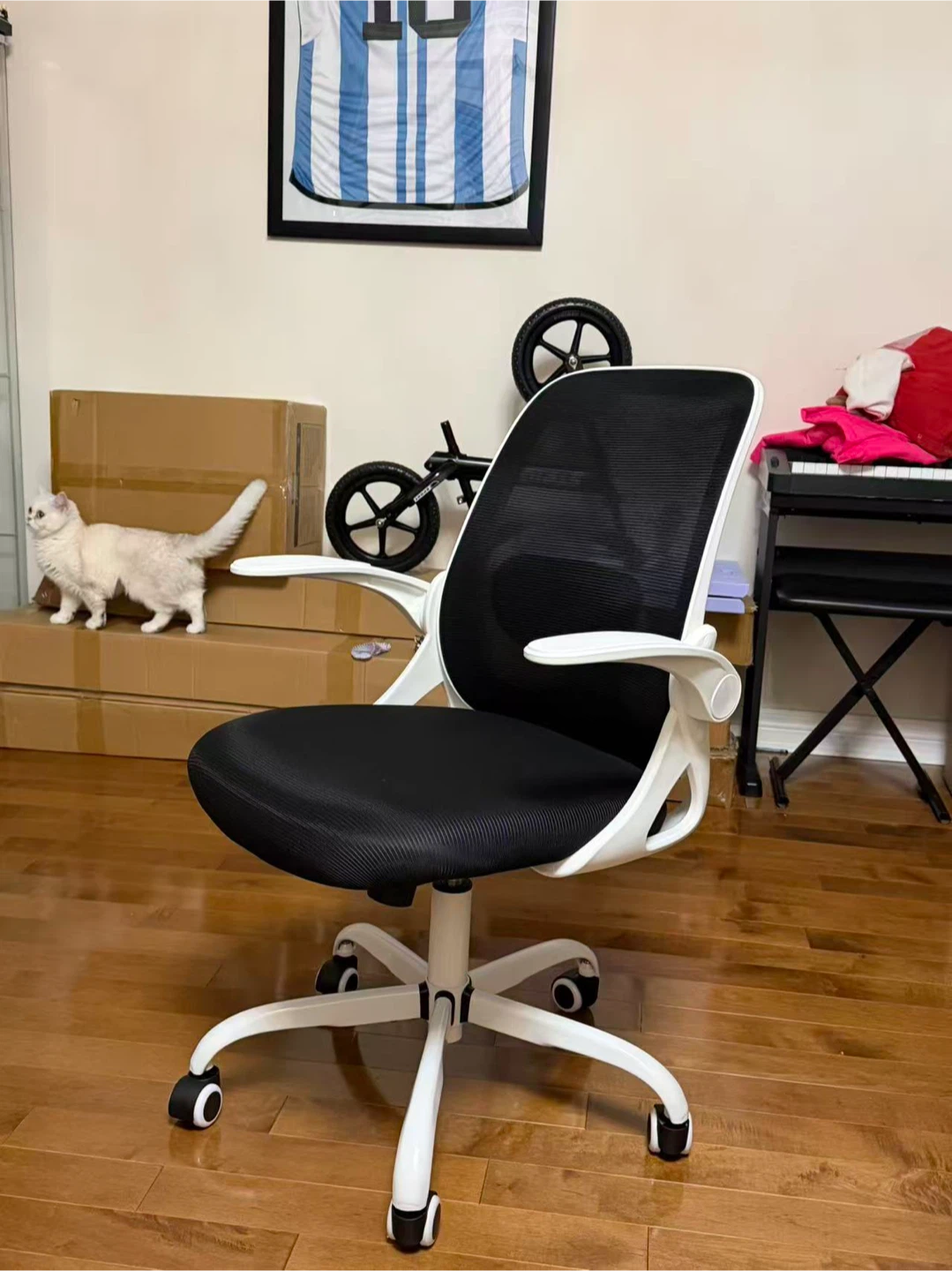 Ergonomic Mesh Office Chair Black