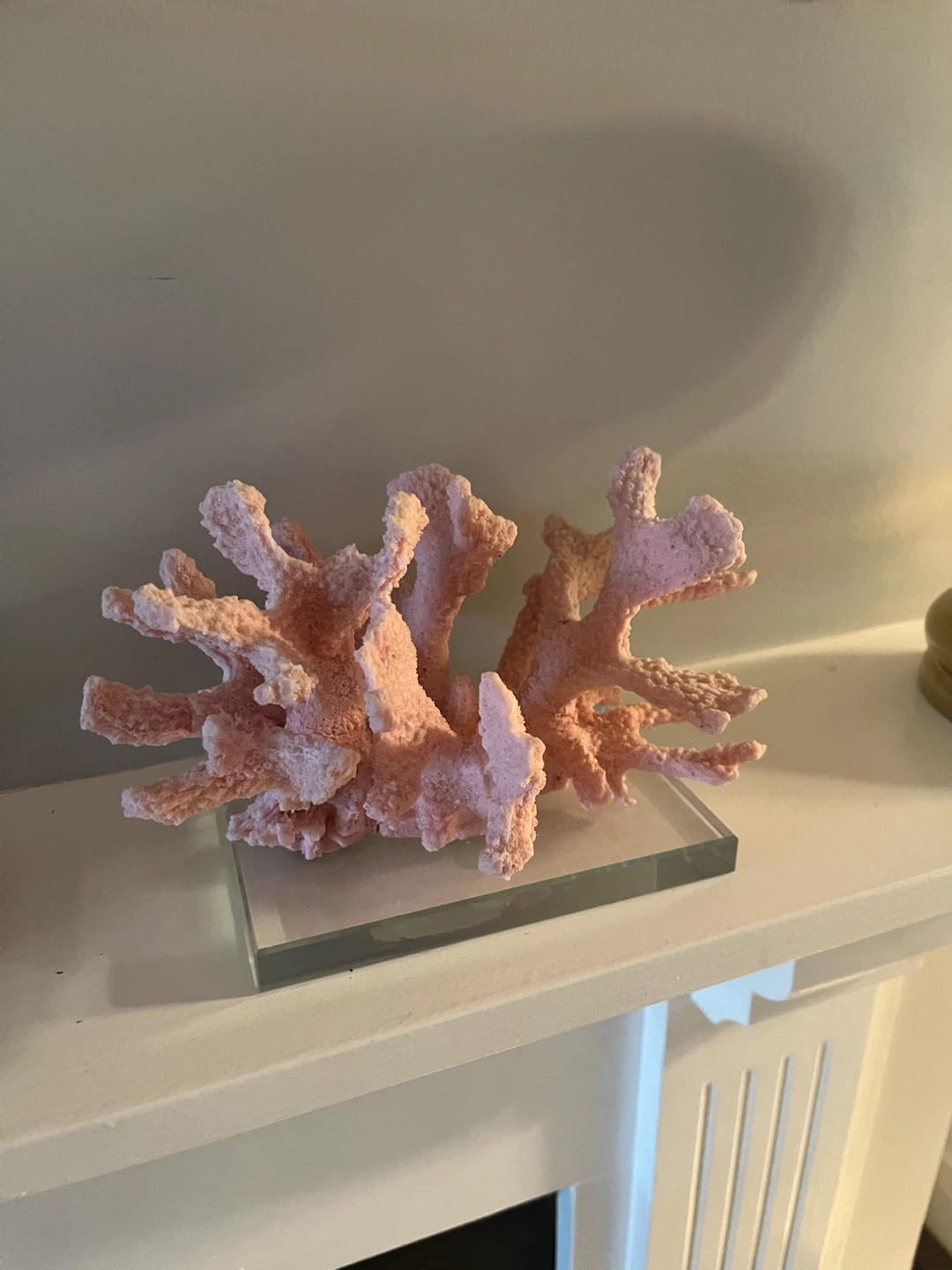 Pink Coral Accent Piece