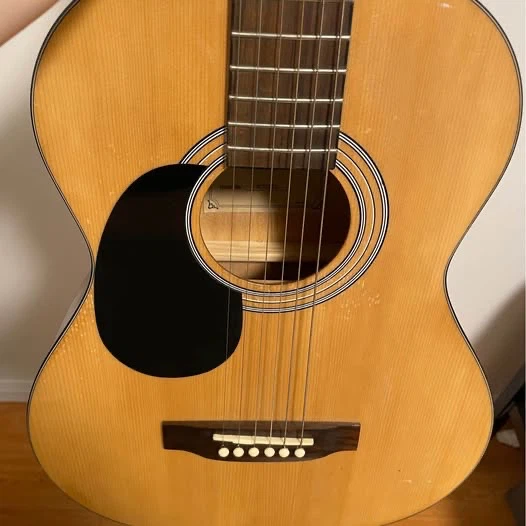 Beaver Creek Acoustic Guitar – Left Handed - photo 2