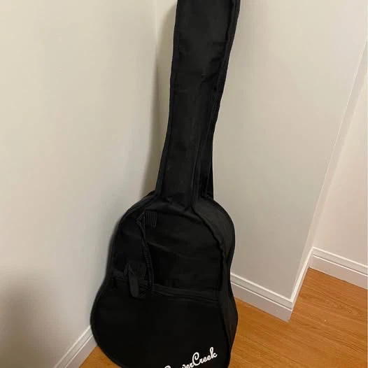Beaver Creek Acoustic Guitar – Left Handed - photo 5
