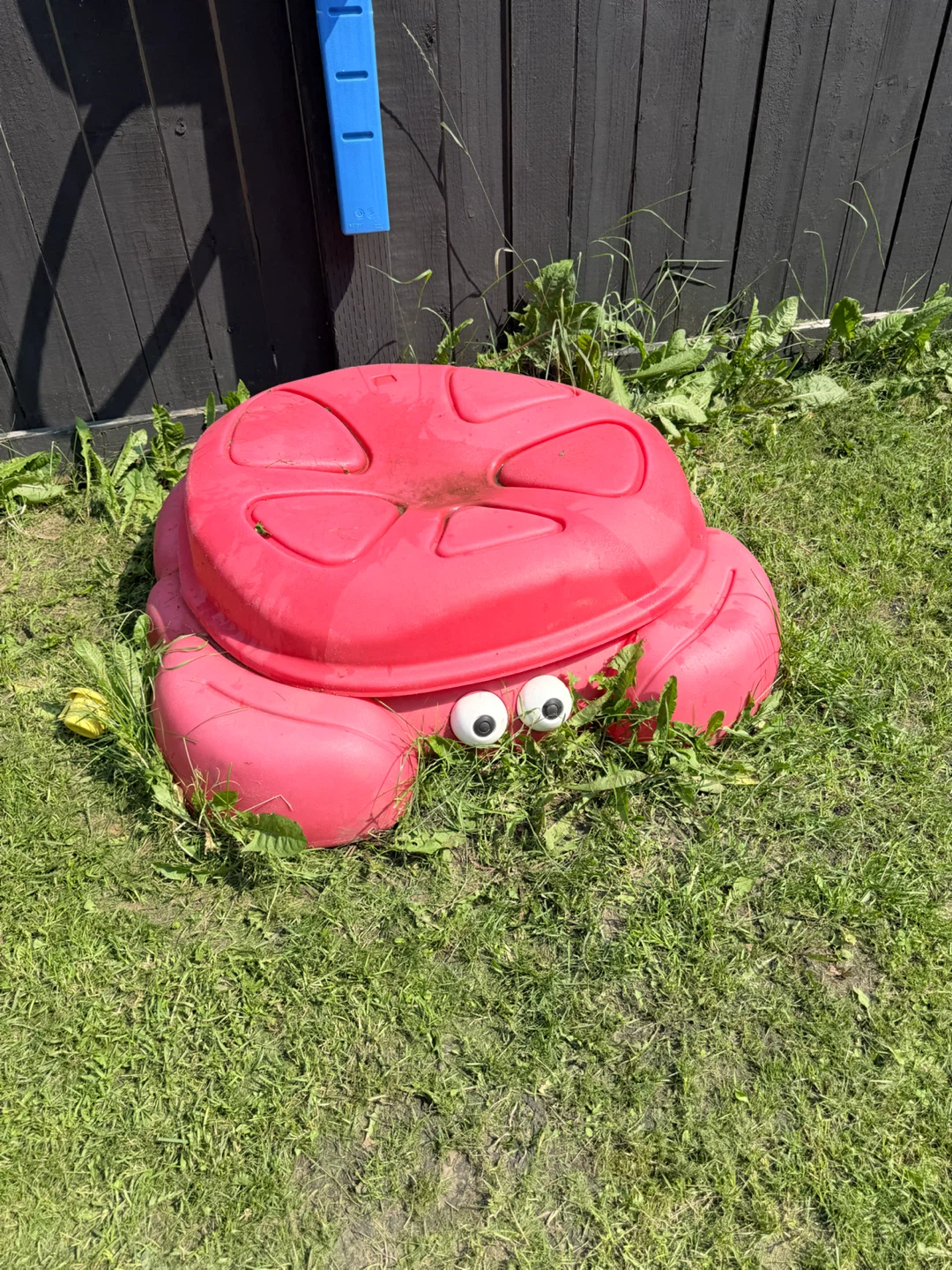 Red Crab Sandbox