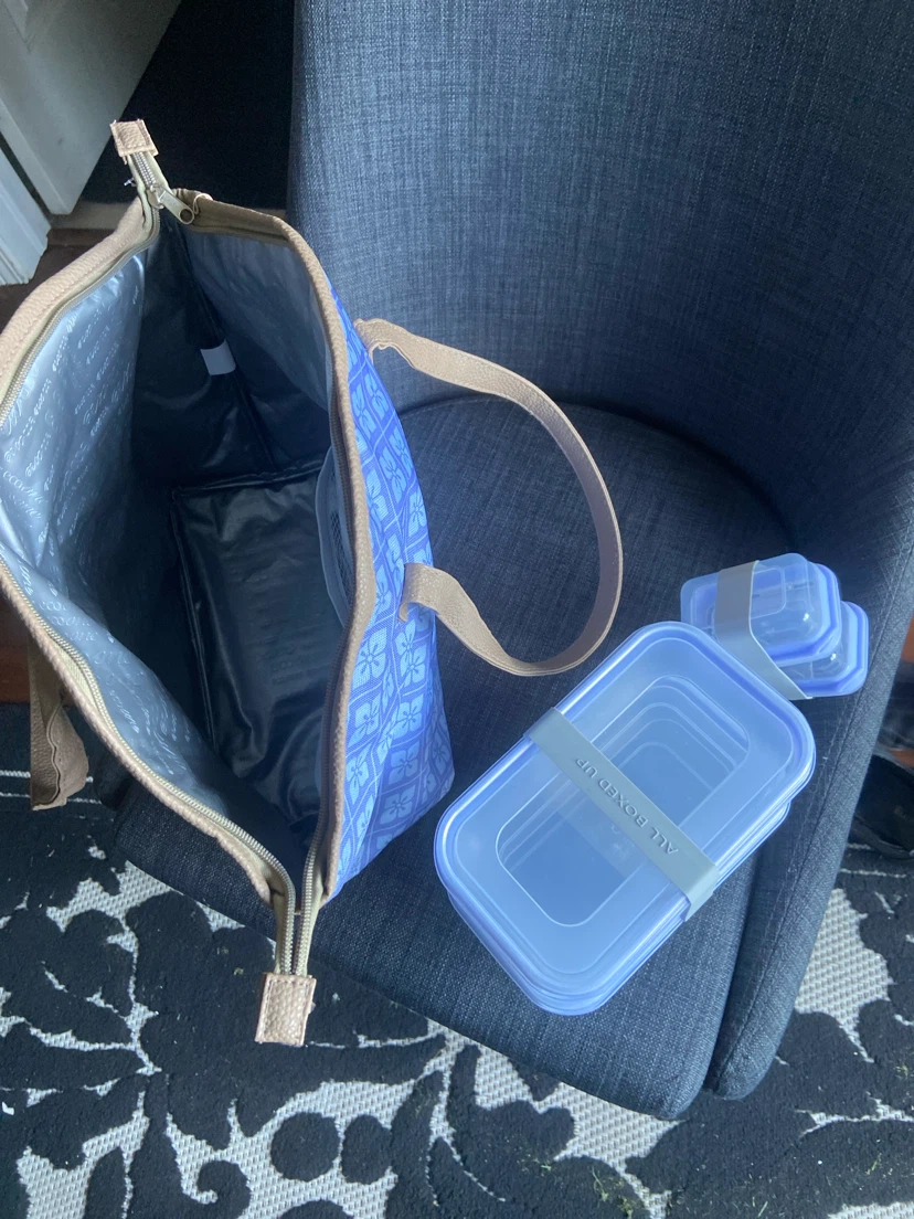 Ecozone Insulated Lunch Bag with Food Containers