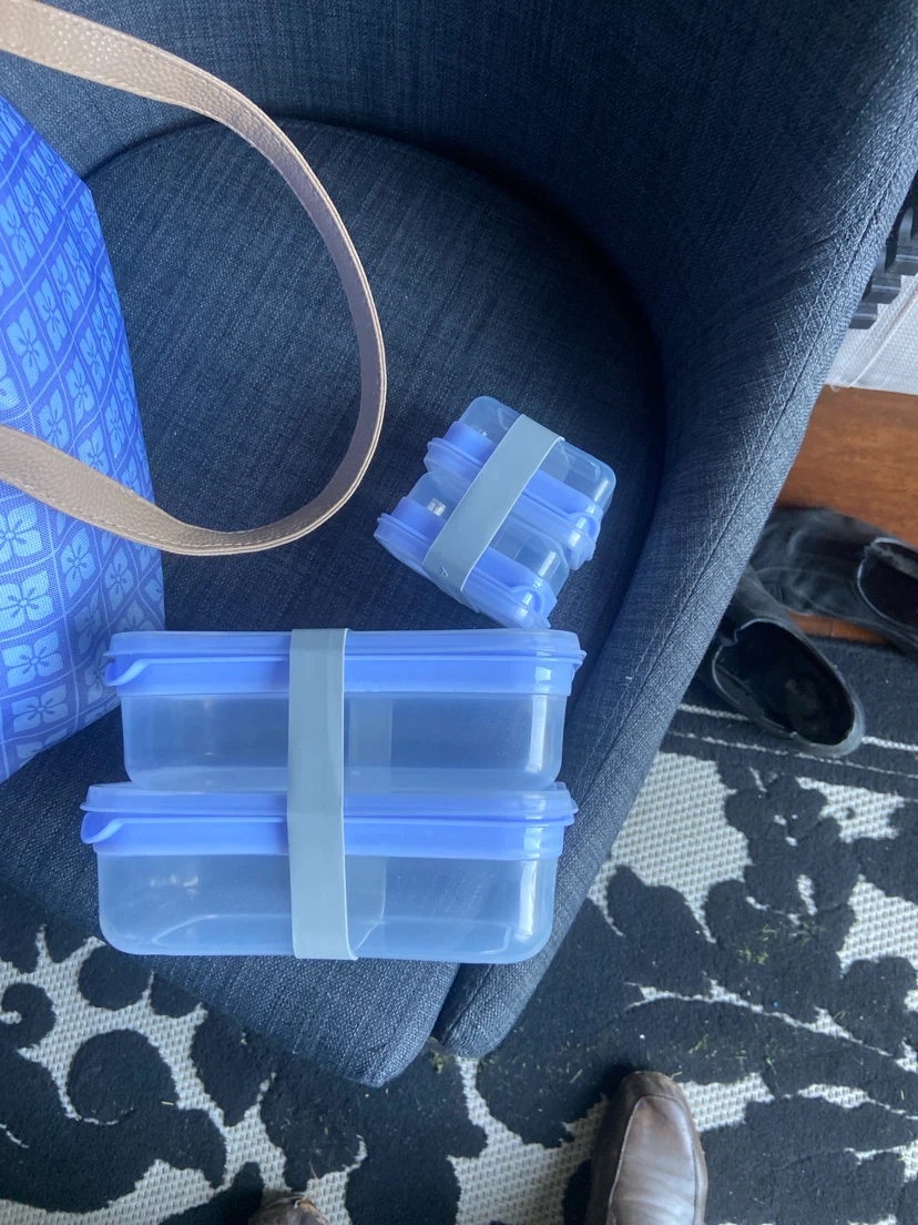 Ecozone Insulated Lunch Bag with Food Containers - photo 2