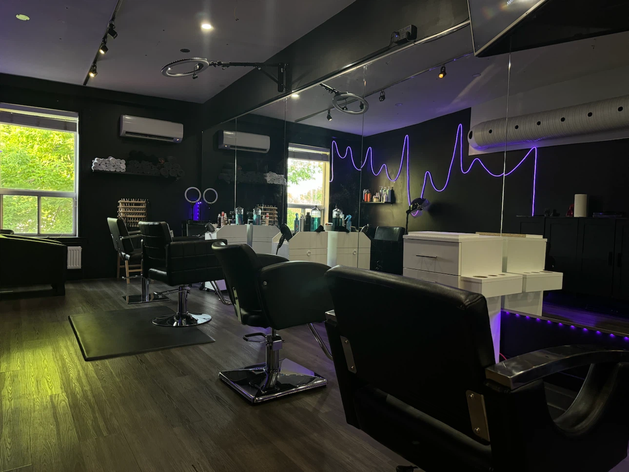 Hair Salon Styling Chairs
