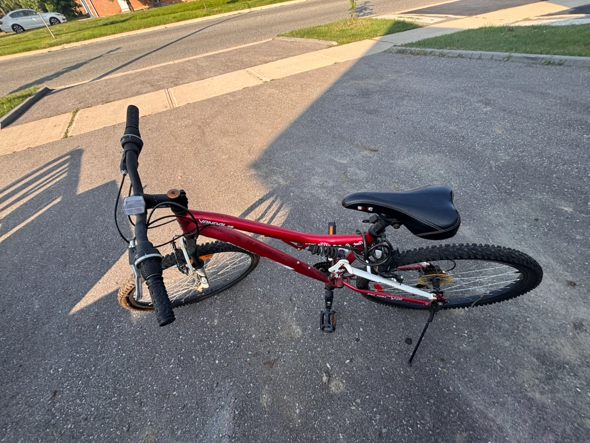 Vandal Dual XC Mountain Bike - photo 4
