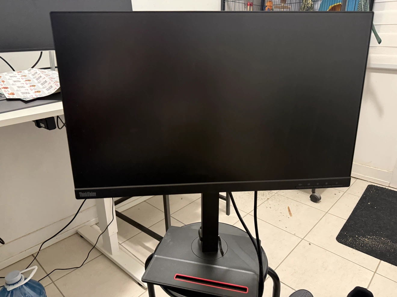 Lenovo ThinkVision Monitor