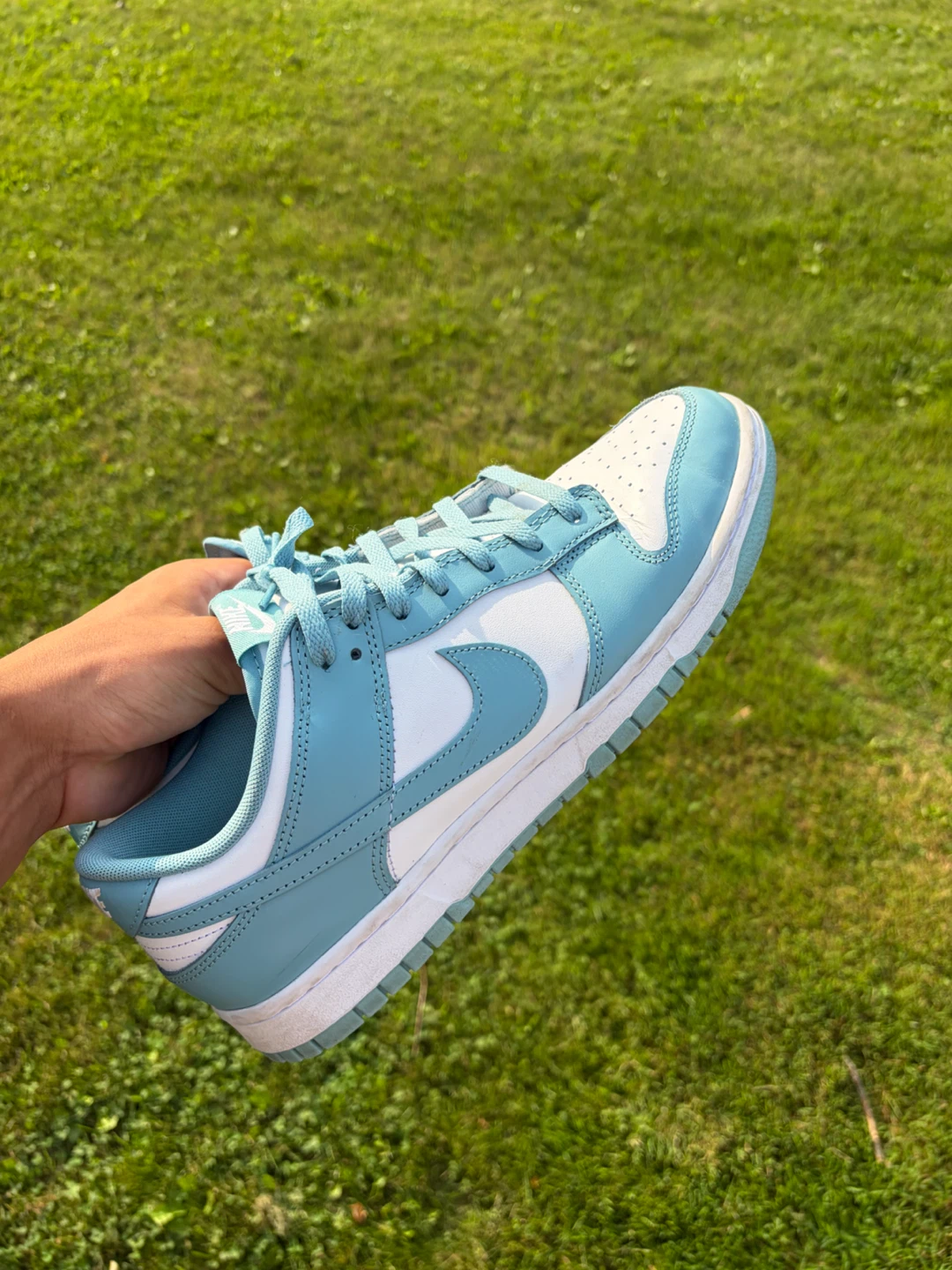 Nike Dunk Low SE Men's Shoes