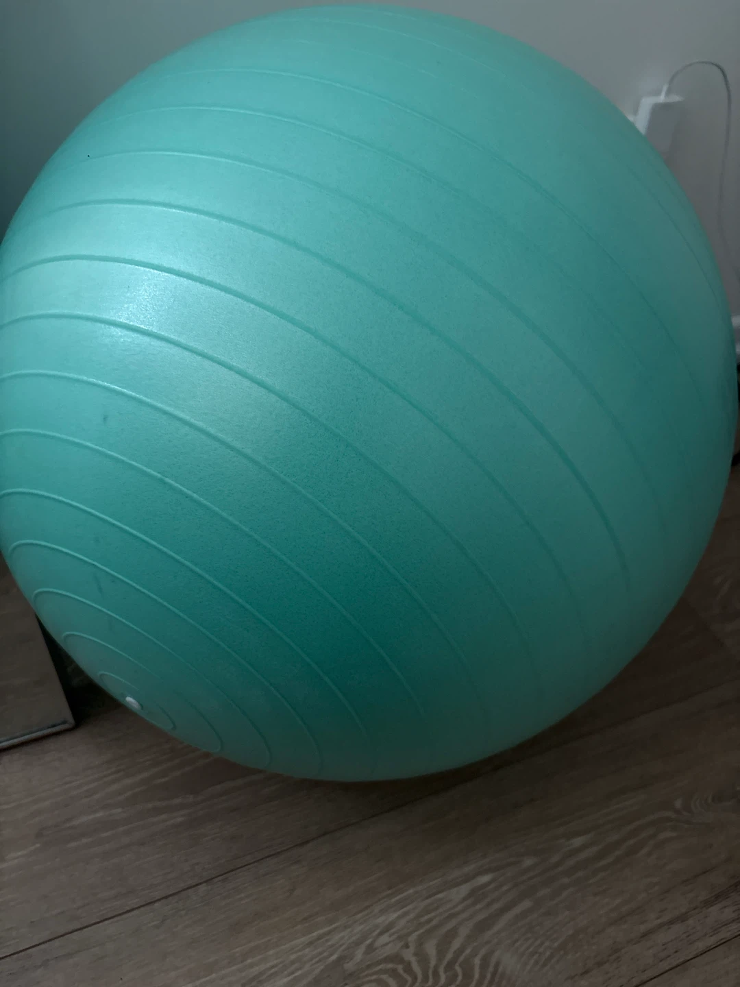 Mint Green Exercise Ball