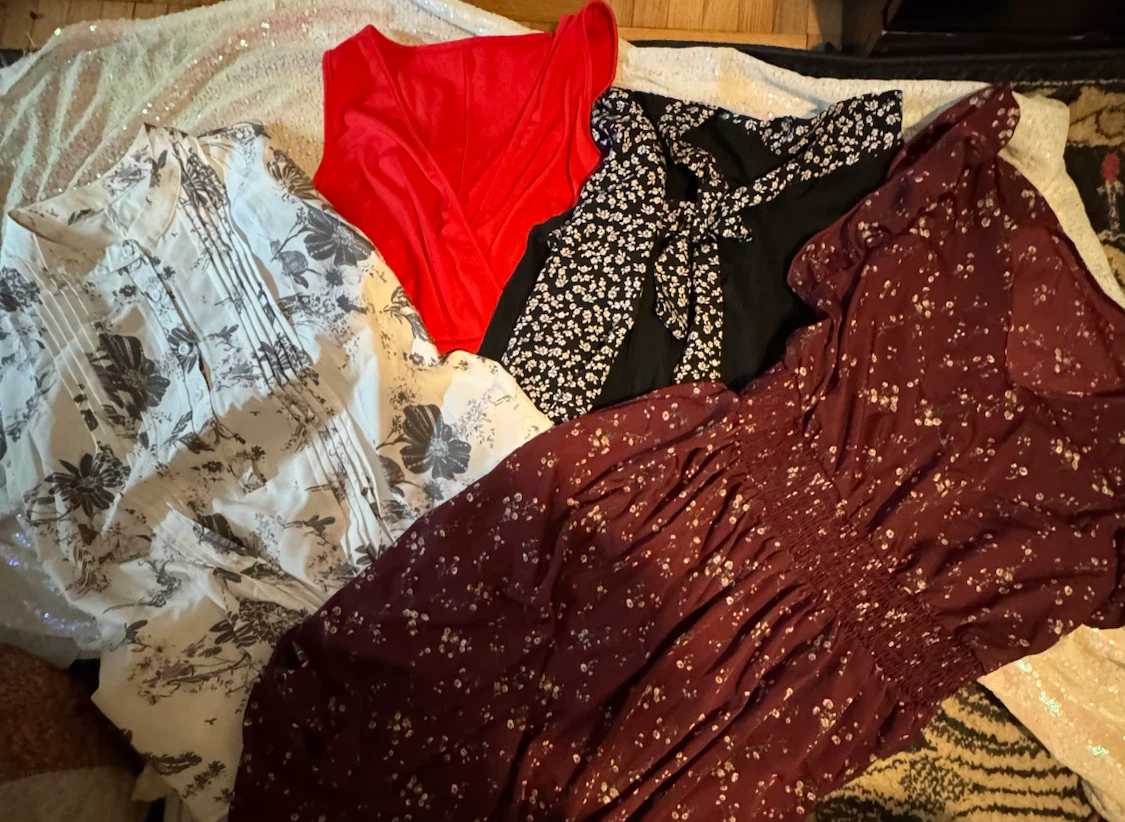 Assorted Women's Tops and Dresses