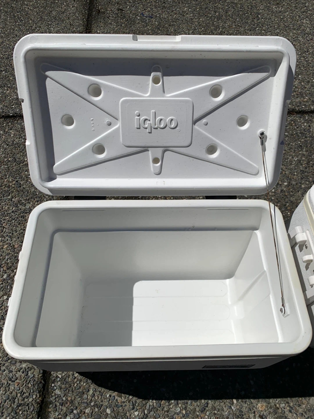 Igloo Marine Ultra Cooler