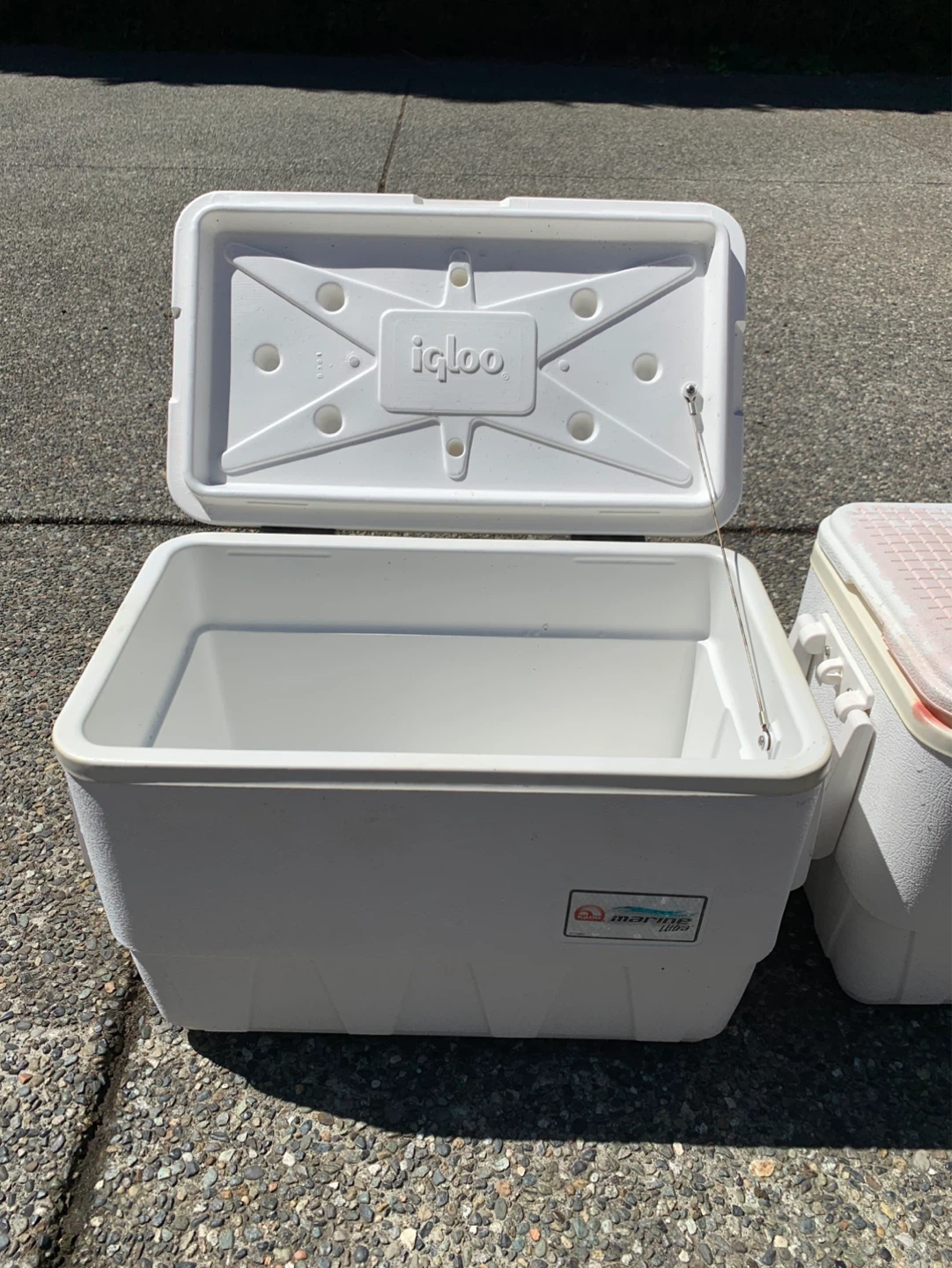 Igloo Marine Ultra Cooler - photo 4