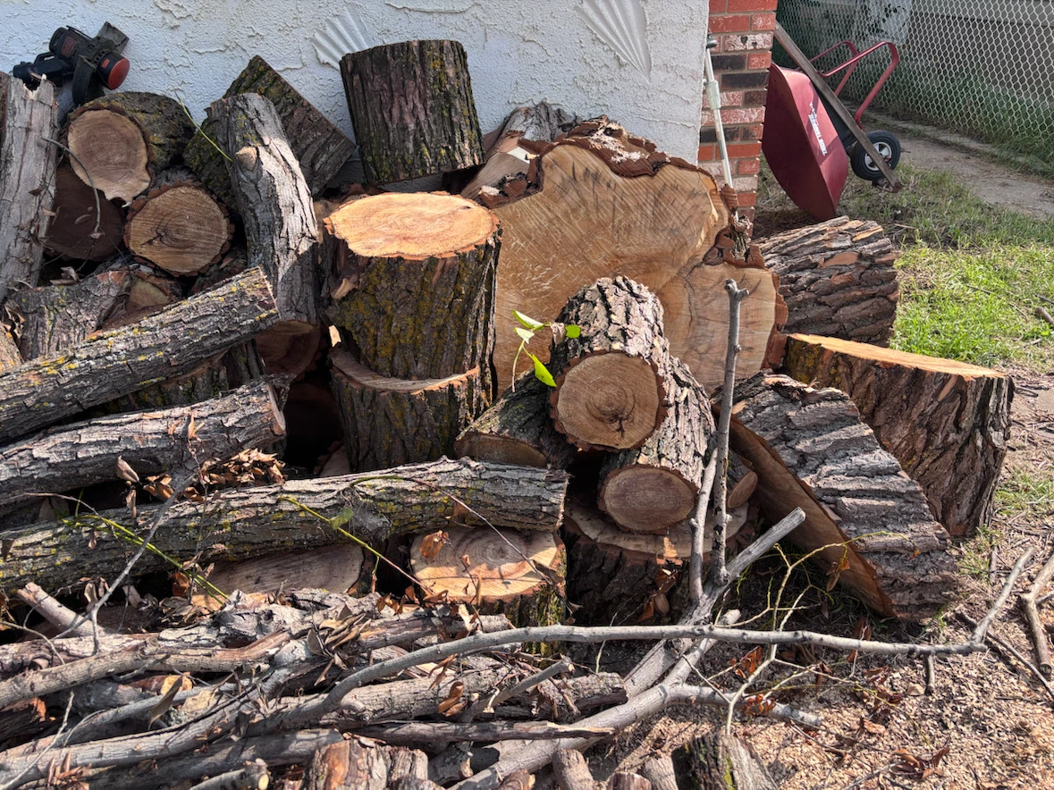 Mixed Firewood Logs and Kindling - photo 3