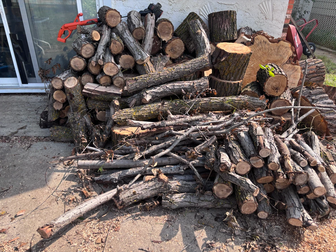Mixed Firewood Logs and Kindling - photo 5