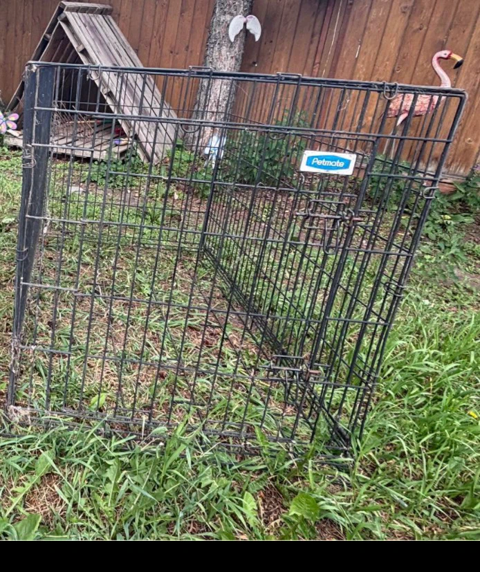 Petmate Dog Crate XL