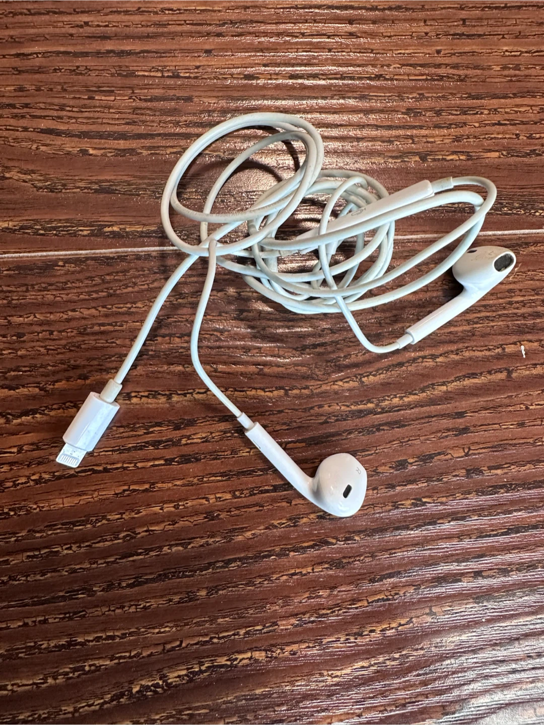 Apple Earphones with Lightning Connector