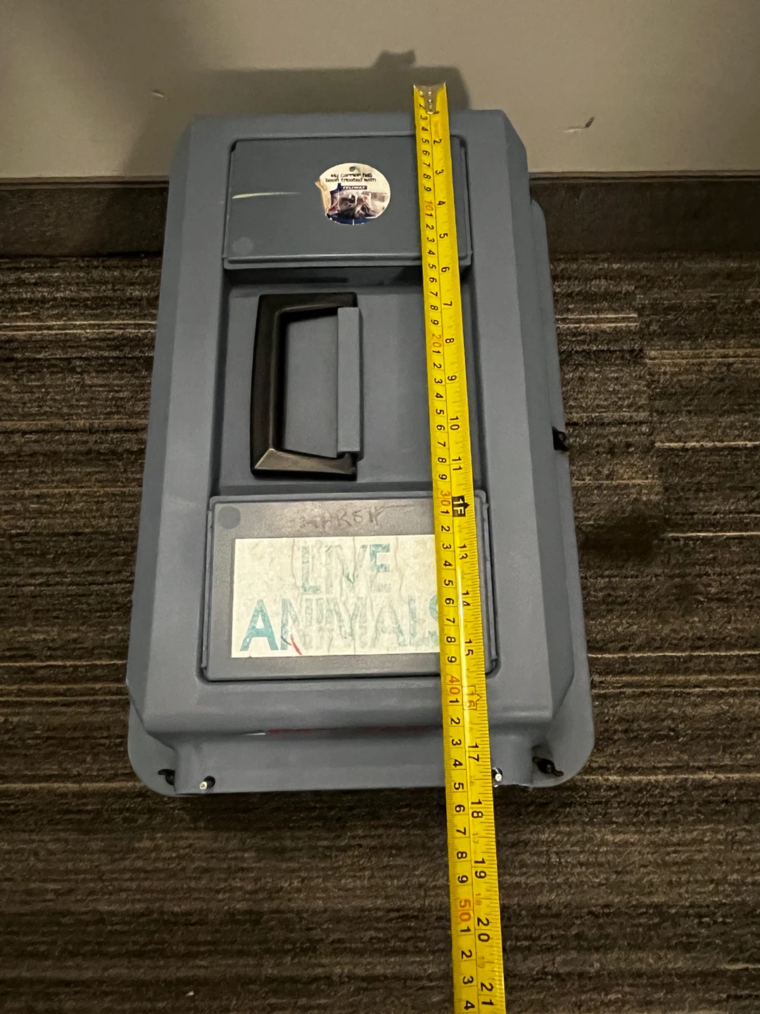 Petmate Pet Taxi Pet Carrier - photo 4