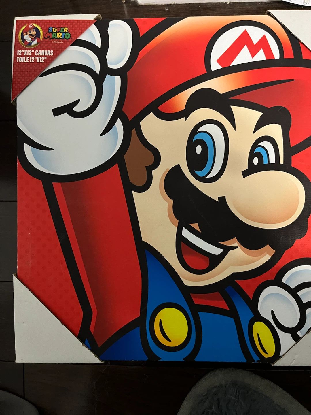 Super Mario & Luigi 12"x12" Canvas Art