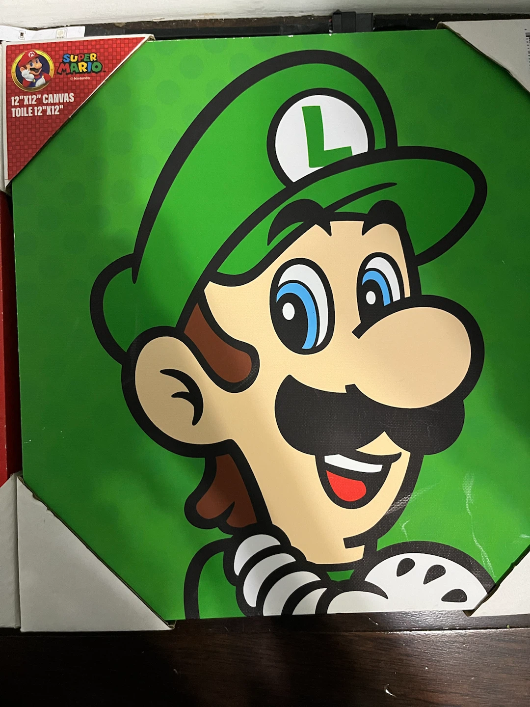 Super Mario & Luigi 12"x12" Canvas Art - photo 2