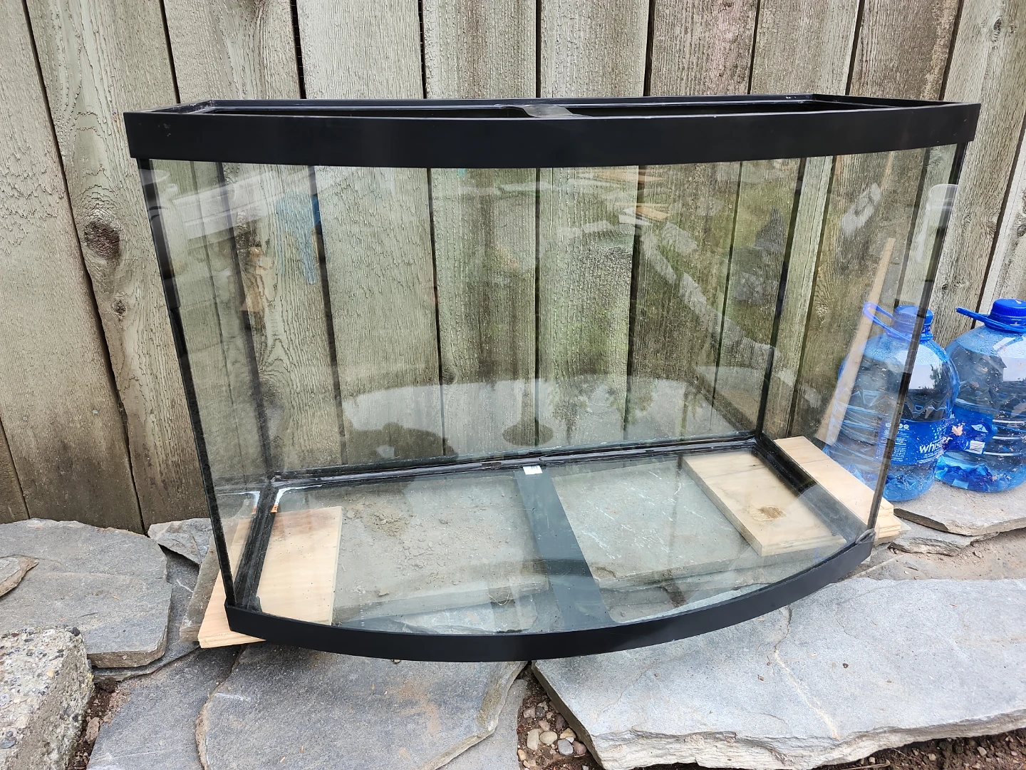 Bowfront Aquarium Tank