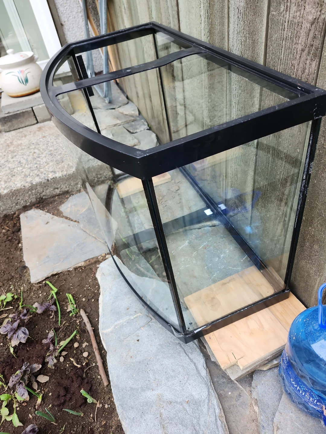 Bowfront Aquarium Tank - photo 2