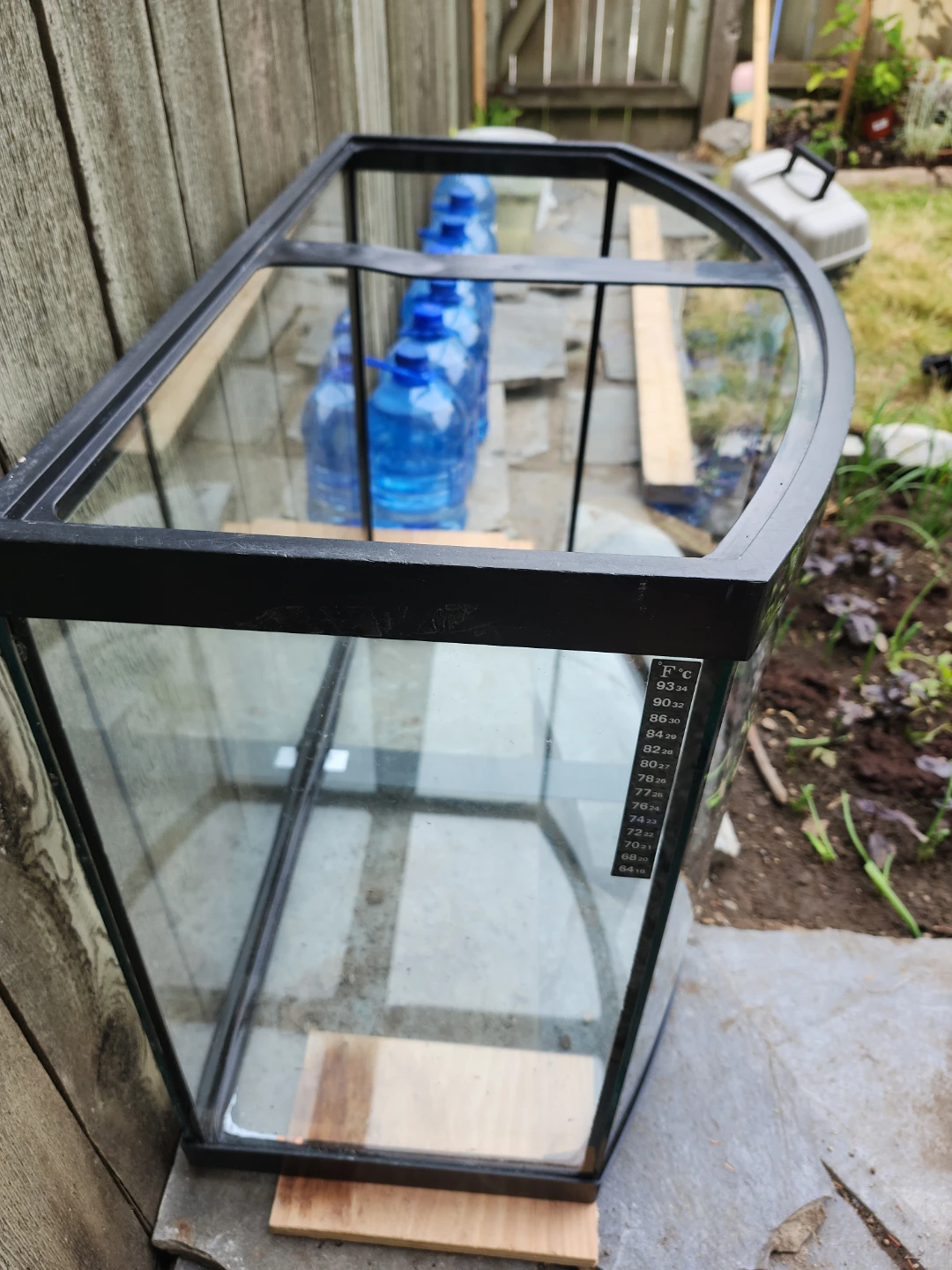 Bowfront Aquarium Tank - photo 4