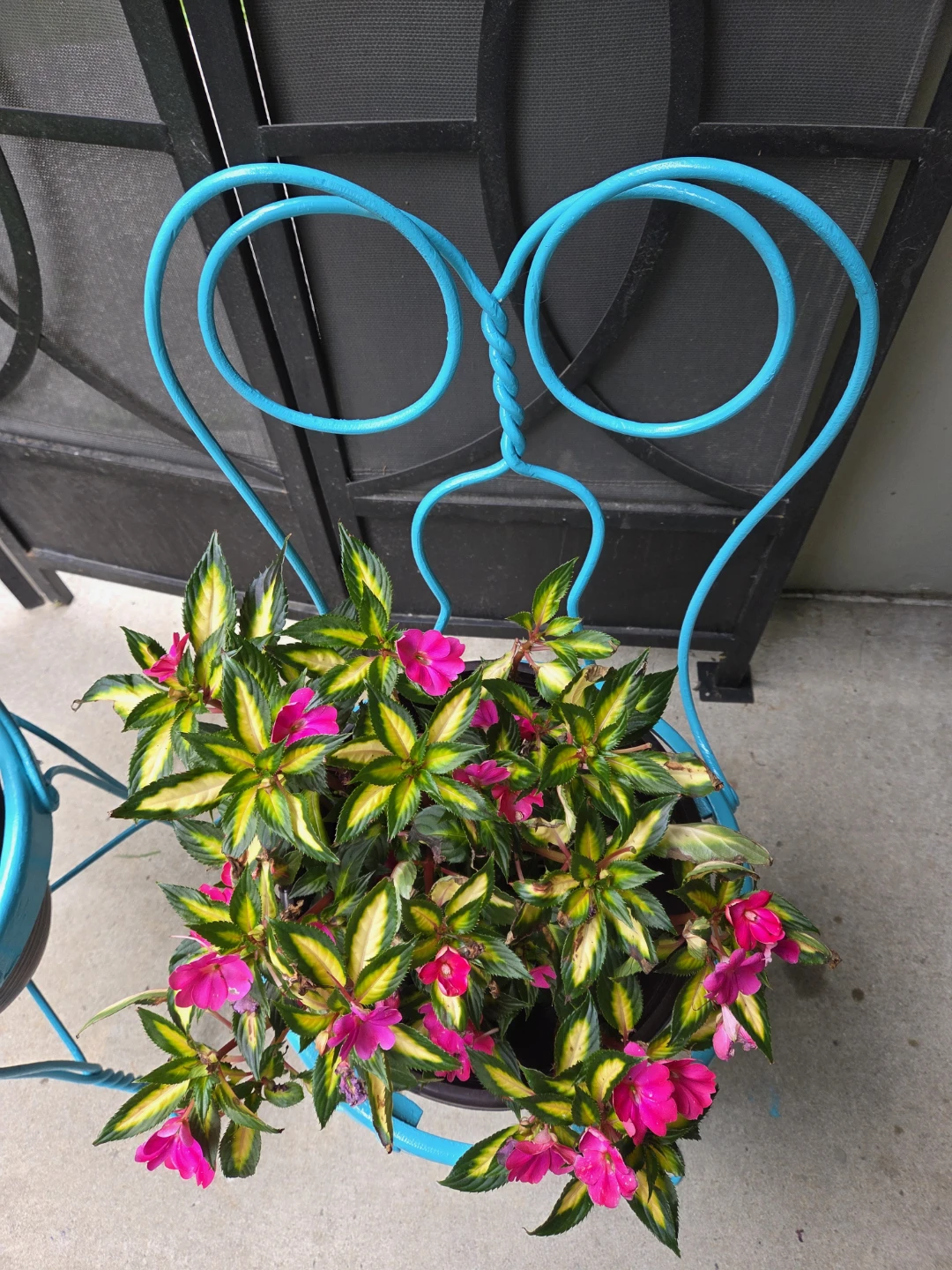 Decorative Turquoise Iron Chair Garden Planters - photo 2