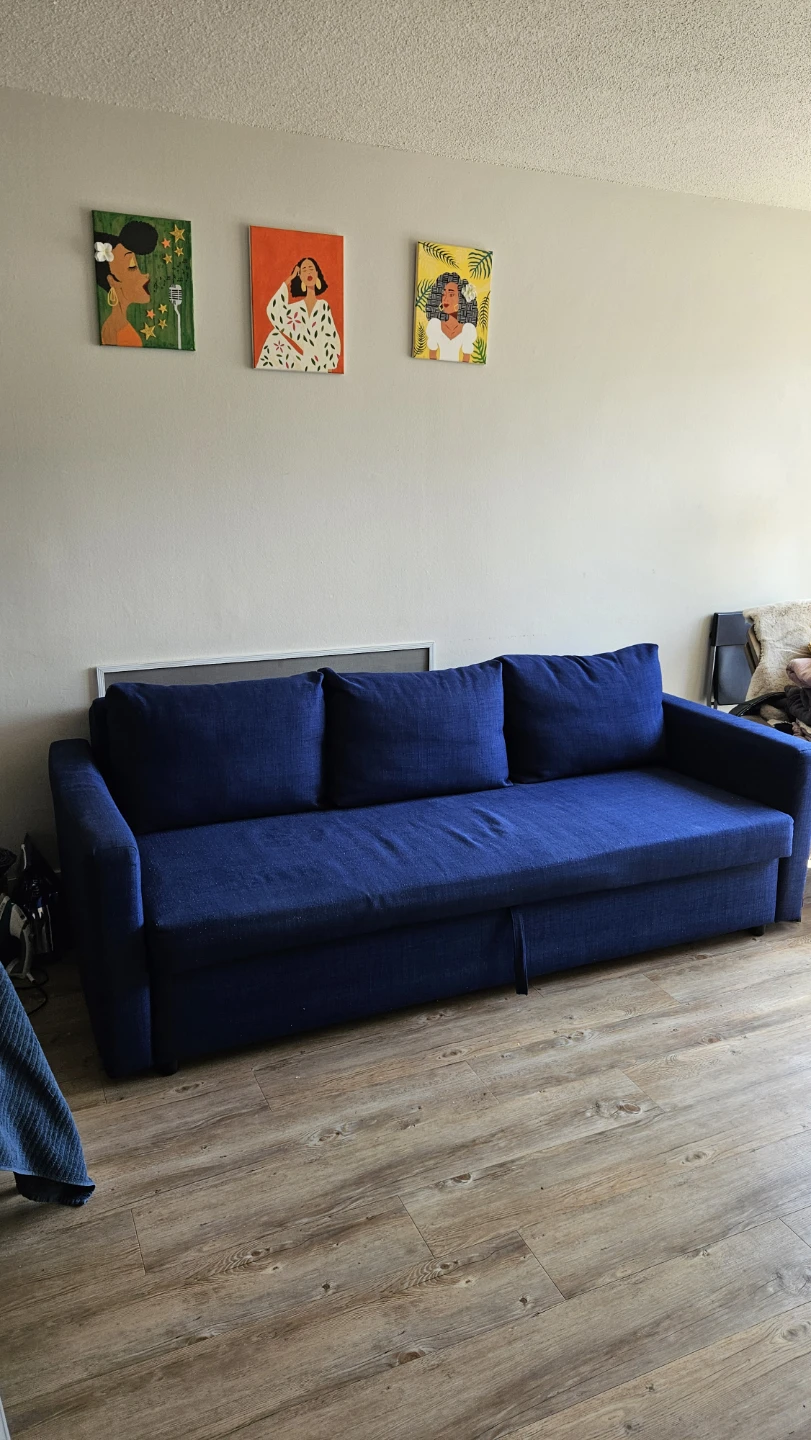 IKEA FRIHETEN Sofa-bed - Excellent condition - photo 2