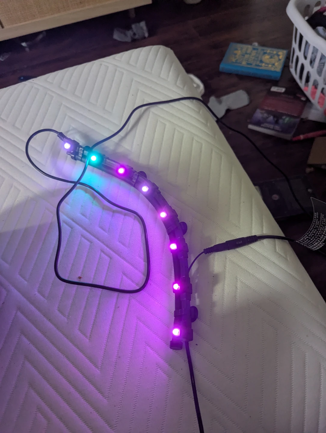 LED fish Lights
