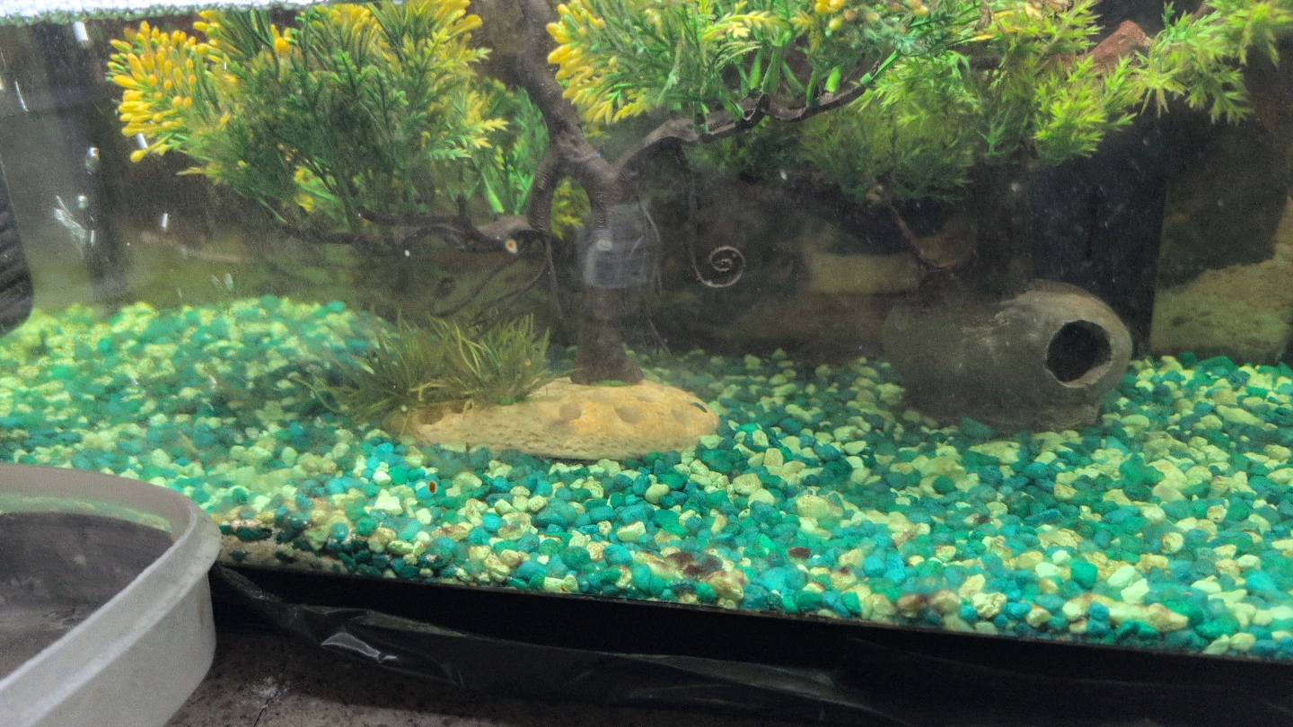 Marina Aquarium
