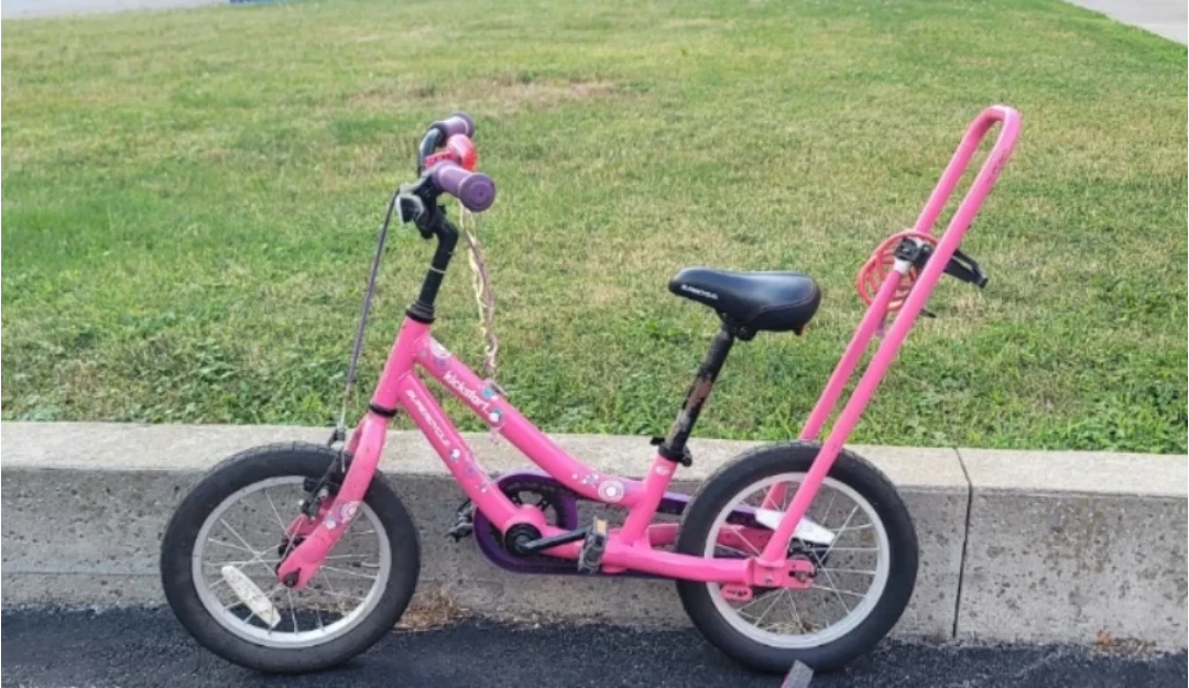Kids Pink Bicycle with Training Wheels - photo 4