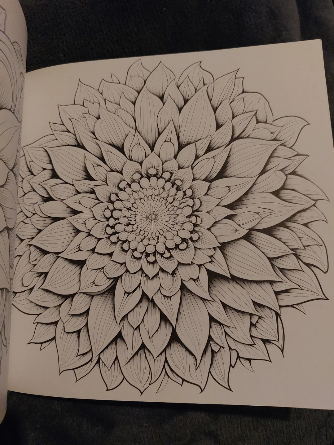 Mindful Mandala Adult Coloring Book - photo 2